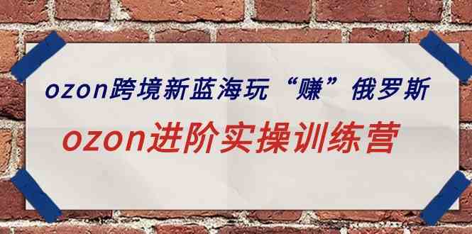 （9800期）ozon跨境新蓝海玩“赚”俄罗斯，ozon进阶实操训练营-搞钱基地