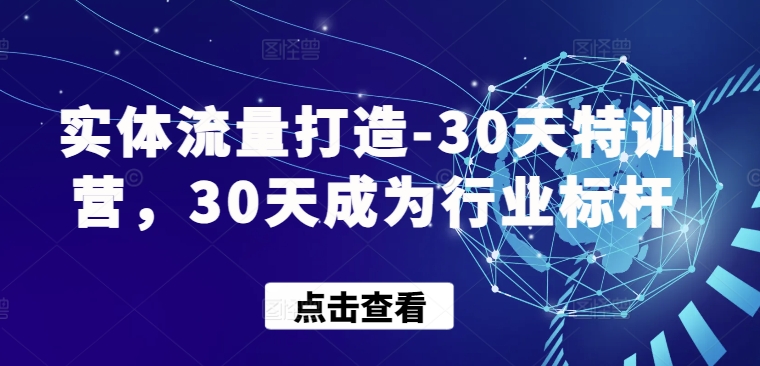 实体流量打造-30天特训营，30天成为行业标杆-搞钱基地