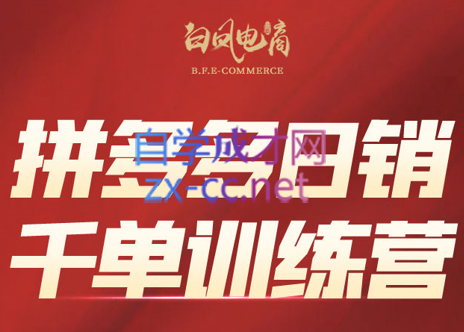 白凤电商·拼多多日销千单训练营(更新6月)-搞钱基地