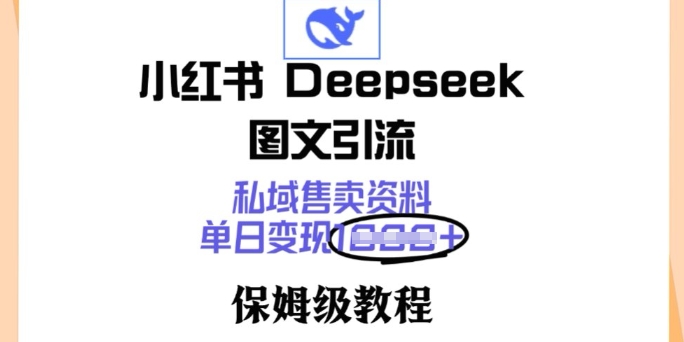小红书Deepseek图文引流，私域售卖资料，单日变现多张，保姆级教程-搞钱基地
