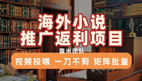 海外小说推广返利项目，视频投喂， 一刀不剪，矩阵批量-搞钱基地
