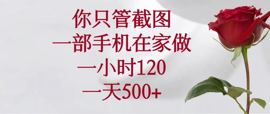 （14248期）你只管截图，一部手机在家做，一小时120，一天500+-搞钱基地