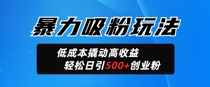 暴力吸粉玩法，日引500+精准创业粉，日变现轻松多张-搞钱基地