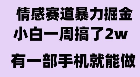 情感暴力掘金项目，新人操作一周挣了2W，长期稳定小白可做【揭秘】-搞钱基地