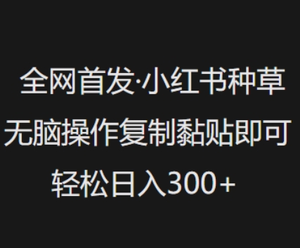 全网首发，小红书种草无脑操作，复制黏贴即可，轻松日入3张-搞钱基地
