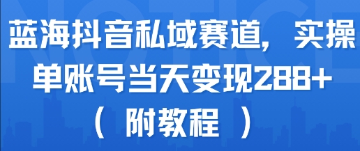 蓝海抖音私域赛道，实操单账号当天变现288+(附教程)-搞钱基地