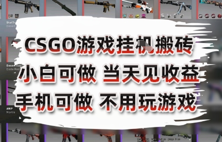CSGO游戏挂G搬砖，小白纯手机即可操作，不用电脑打游戏，日入3张+，副业网创项目【揭秘】-搞钱基地