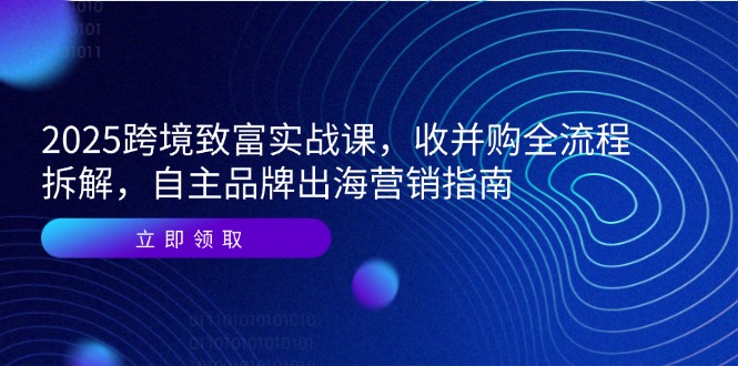 2025跨境致富实战课，收并购全流程拆解，自主品牌出海营销指南-搞钱基地