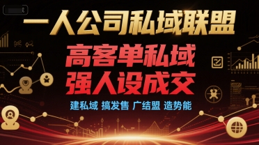 一人公司私域联盟，高客单私域，强人设成交，建私域 搞发售 广结盟 造势能-搞钱基地