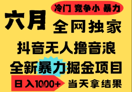 25年6月高爆抖音无人直播最新撸音浪掘金项目，小白可做，无脑日入1k+，门槛低可批量矩阵【揭秘】-搞钱基地