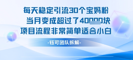 每天稳定引流30个人 当月变成超过了4个W项目流程非常简单适合小白-搞钱基地