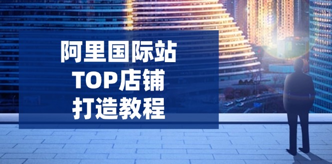（14269期）阿里国际站TOP店铺打造教程：涵盖平台到高阶，解决运营难题，提升询盘-搞钱基地