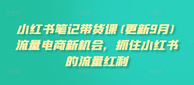 小红书笔记带货课(更新25年1月)流量电商新机会，抓住小红书的流量红利-搞钱基地