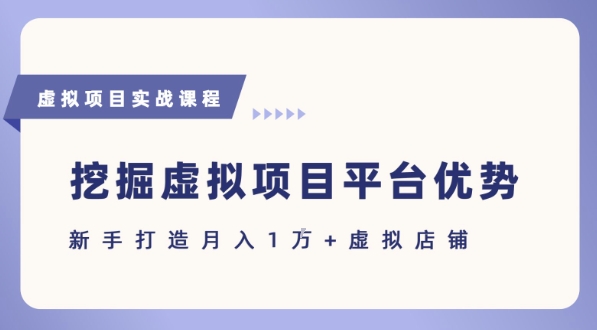 抓住虚拟项目各平台优势，新手轻松月入1W+(给出具体建议)-搞钱基地