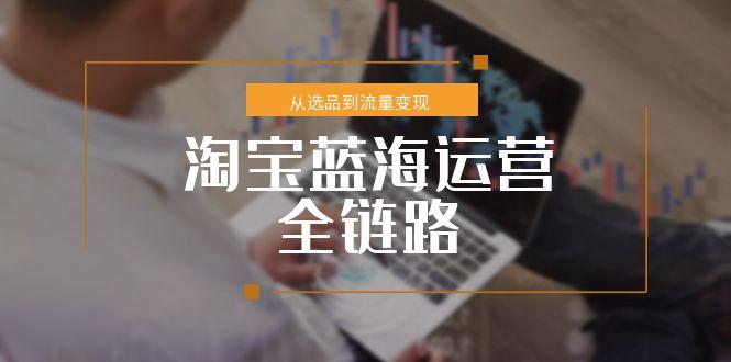 淘宝蓝海运营全链路，从选品到流量变现，小类目突围完整方案-搞钱基地