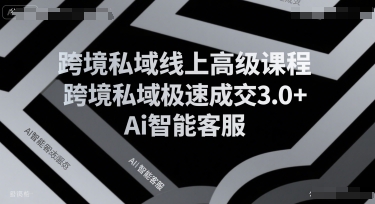 跨境私域线上高级课程，跨境私域极速成交3.0+Ai智能客服-搞钱基地