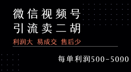 视频号卖二胡教程，利润大 易成交 售后少，一单利润5张+-搞钱基地
