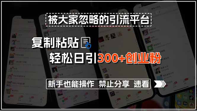被大家忽略的引流平台，复制粘贴轻松日引300+创业粉，新手也能操作，禁…-搞钱基地