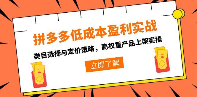 拼多多低成本盈利实战，类目选择与定价策略，高权重产品上架实操-搞钱基地