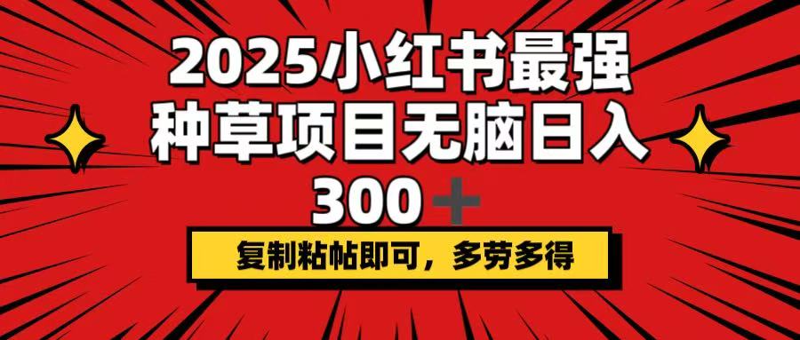 （14375期）2025小红书最强种草项目，无脑日入300+，复制粘帖即可，多劳多得-搞钱基地