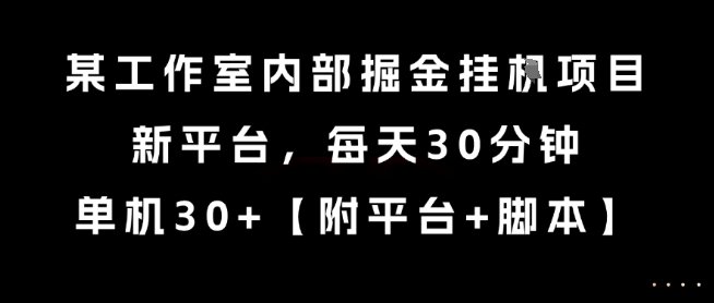 某工作室内部掘金挂G项目，新平台，每天30分钟，单机30+【揭秘】-搞钱基地