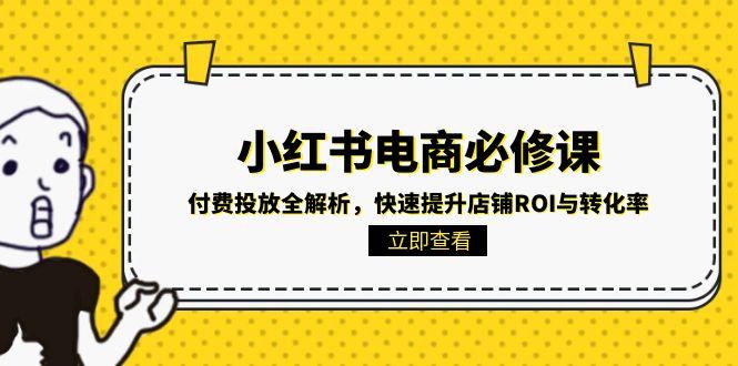 小红书电商必修课：付费投放全解析，快速提升店铺ROI与转化率-搞钱基地