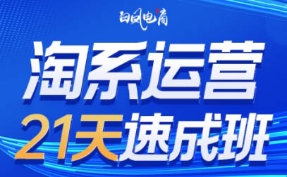 白凤电商·淘系运营21天速成班(更新6月)-搞钱基地
