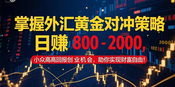掌握外汇黄金对冲策略，日赚 800 – 2000，小众高回报创业机会，助你实…-搞钱基地