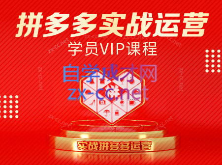 推易电商·拼多多实战运营课(更新2025月)-搞钱基地