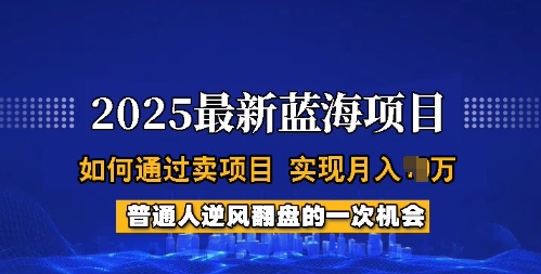 2025蓝海项目，普通人如何通过卖项目，实现月入过W，全过程【揭秘】-搞钱基地