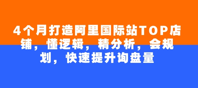 4个月打造阿里国际站TOP店铺，懂逻辑，精分析，会规划，快速提升询盘量-搞钱基地