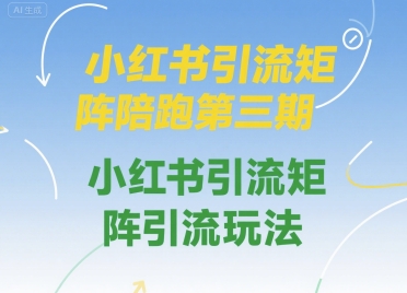 小红书引流矩阵陪跑第三期，小红书引流矩阵引流玩法-搞钱基地