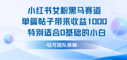 小红书女粉黑马赛道单篇帖子带来收益1k+，特别适合0基础的小白-搞钱基地