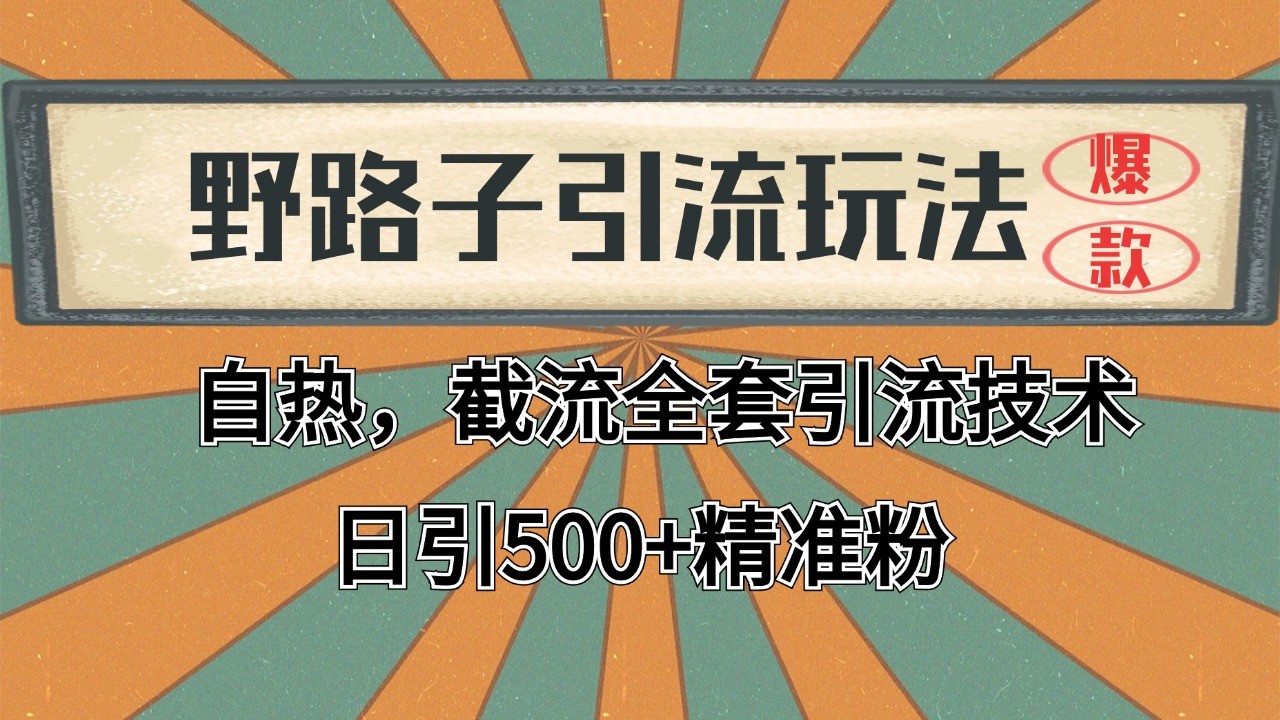 2024首发野路子引流玩法截流自热全平台打法，全自动引流【日引2000+精准客户】-搞钱基地