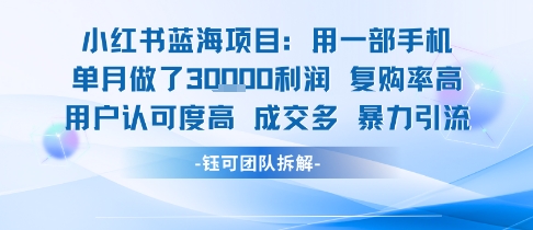 小红书蓝海项目，一部手机单月做了3W利润，小白也能月入过1W用户认可度高成交多-搞钱基地