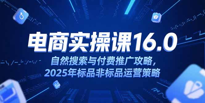 淘宝电商运营课16.0，自然搜索与付费推广攻略，2025年标品非标品运营策略-搞钱基地