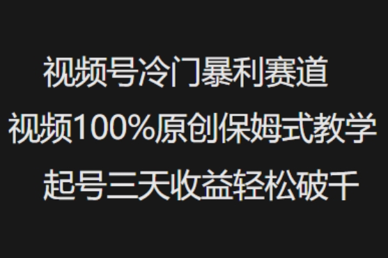 视频号冷门暴利赛道视频100%原创保姆式教学起号三天收益轻松破千-搞钱基地