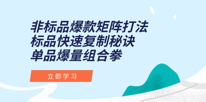 非标品爆款矩阵打法，标品快速复制秘诀，单品爆量组合拳-搞钱基地