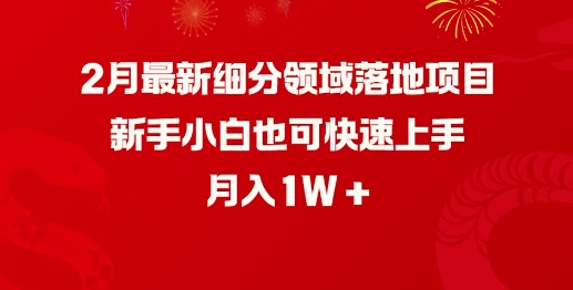 2月最新细分领域落地项目，新手小白也可快速上手，月入1W-搞钱基地