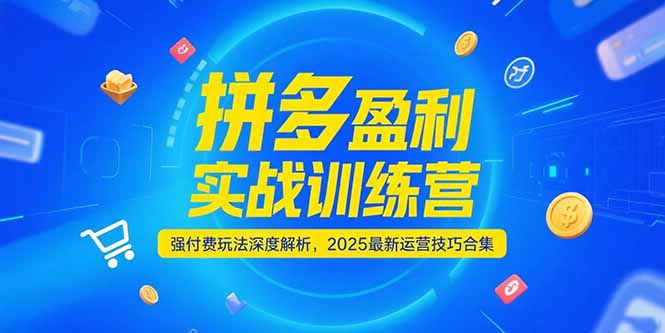 拼多多盈利实战训练营，强付费玩法深度解析，2025运营技巧合集-更新6月-搞钱基地