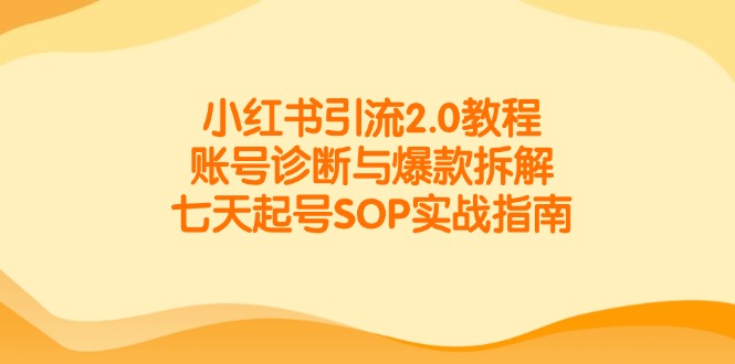 小红书引流2.0教程，账号诊断与爆款拆解，七天起号SOP实战指南-搞钱基地