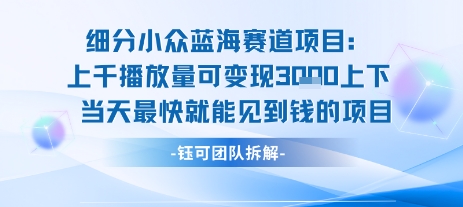 小众蓝海赛道项目：当天变现1k+适合新手操作 +适合长期玩-搞钱基地