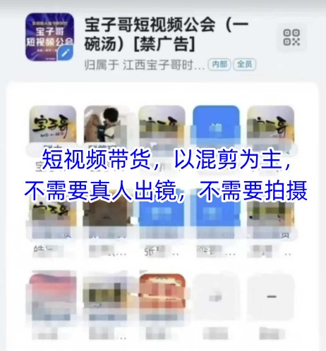 宝子哥头部团队短视频带货，以混剪为主，不需要真人出镜，不需要拍摄【更新】-搞钱基地