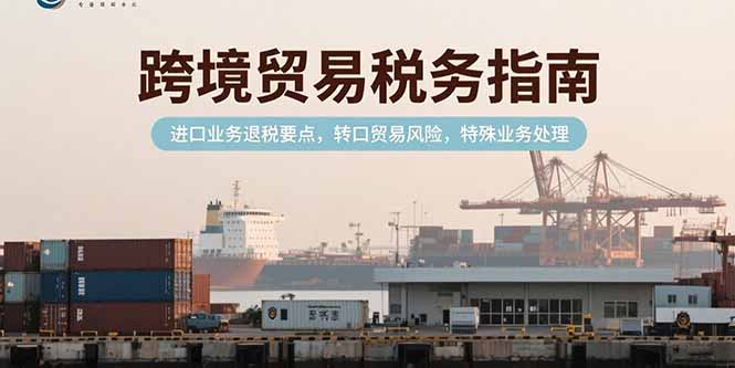 跨境贸易税务指南，进口业务退税要点，转口贸易风险，特殊业务处理-搞钱基地