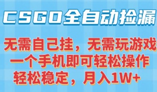 CSGO自动捡漏项目，最新独家玩法，一个手机可操作，新手小白轻松月入1W+，操作简单易上手【揭秘】-搞钱基地
