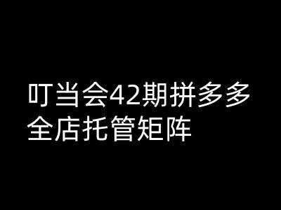 叮当会拼多多打爆班原创高阶技术第42期，拼多多全店托管矩阵-搞钱基地